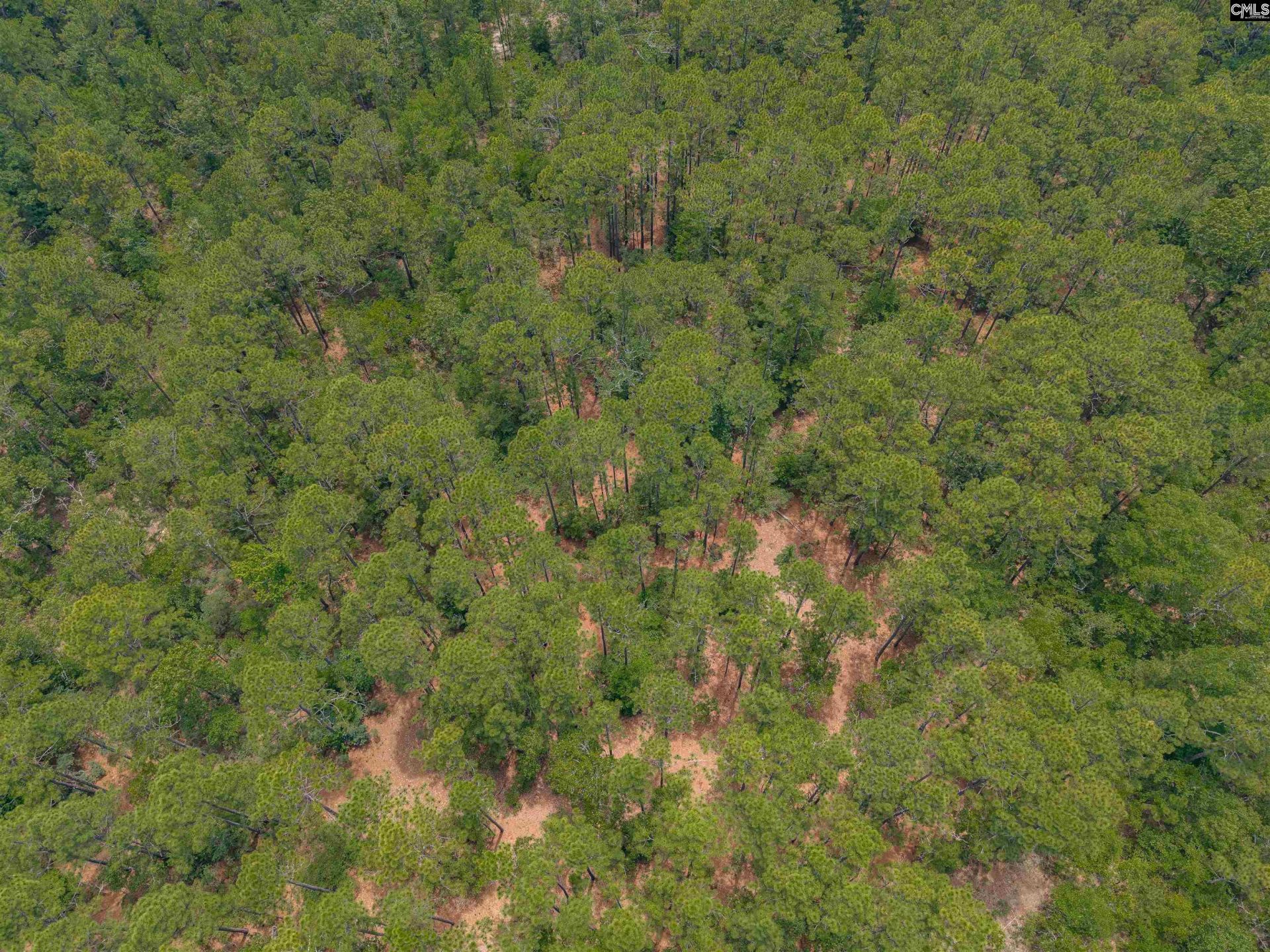 0 Woodtrail Drive  Photo 13