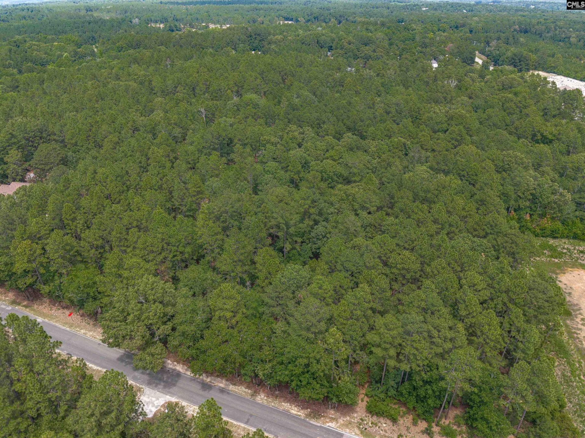 0 Woodtrail Drive  Photo 15