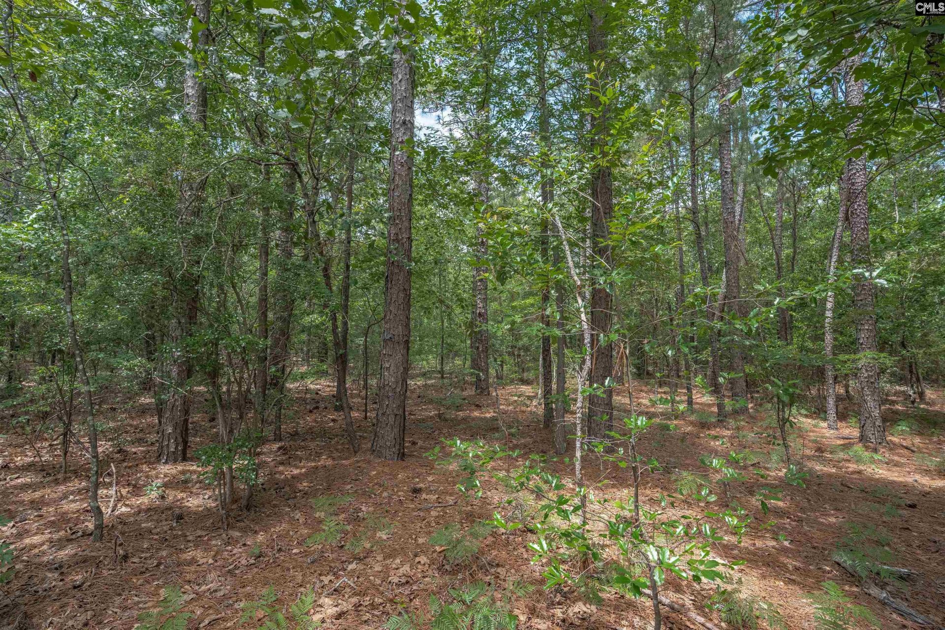 0 Woodtrail Drive  Photo 16