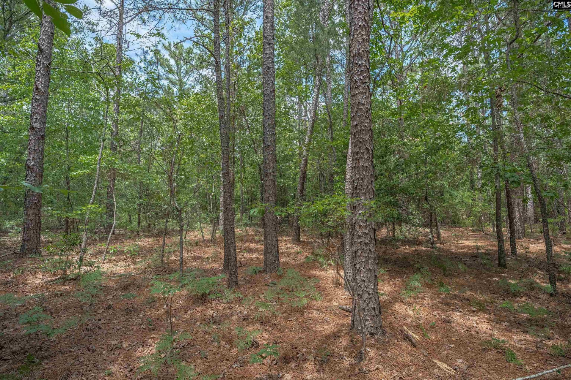 0 Woodtrail Drive  Photo 17