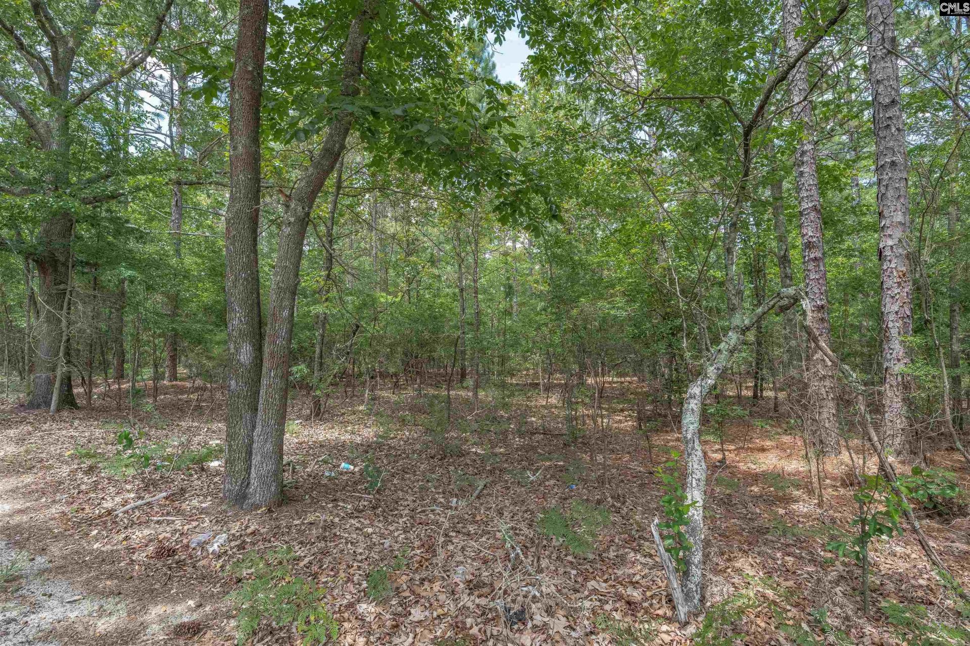 0 Woodtrail Drive  Photo 18