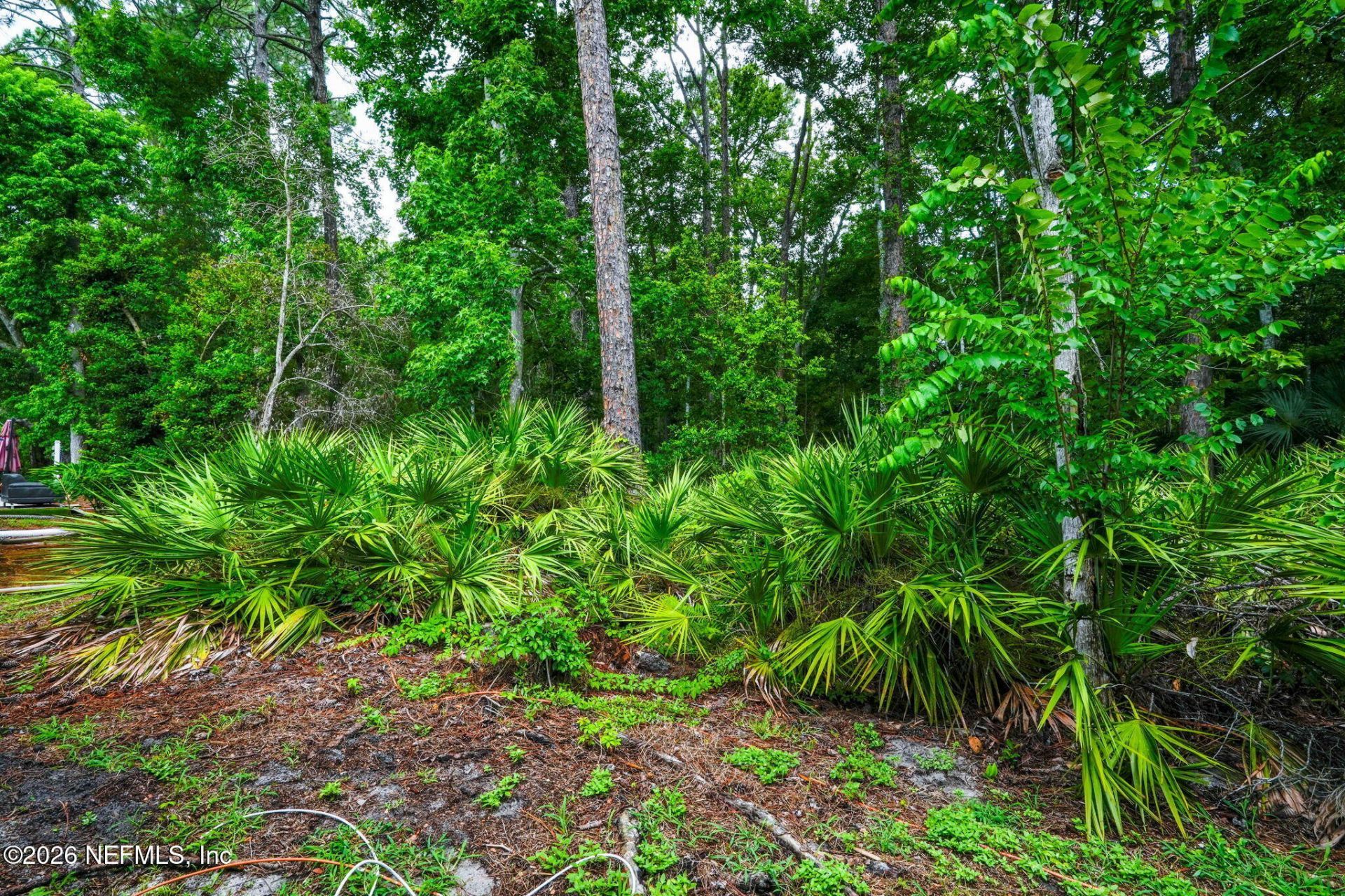 7620 Baymeadows, Unit 2245, Jacksonville, FL 32256 Photo