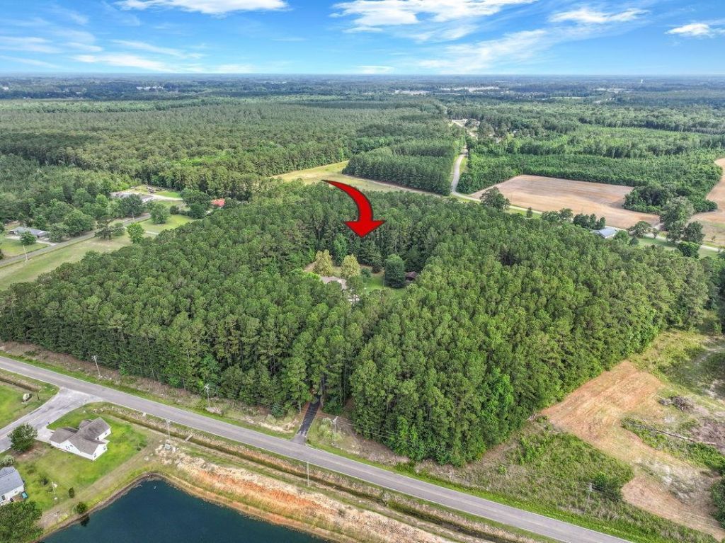 4272 Old Tram Rd.  Photo 46