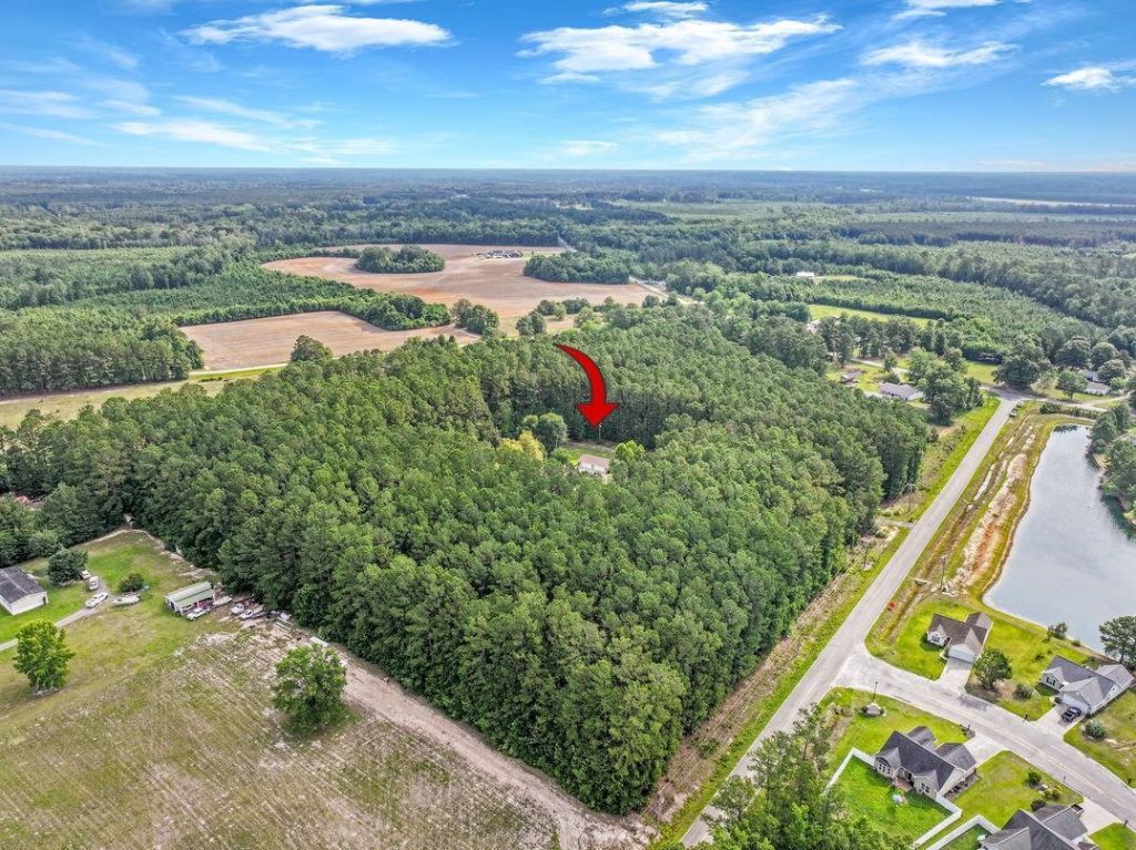 4272 Old Tram Rd.  Photo 47