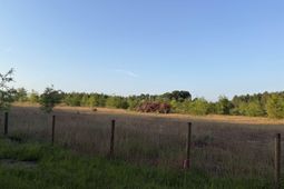 000 Livingston Road  photo 4