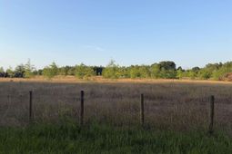 000 Livingston Road  photo 4