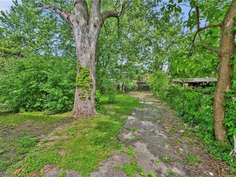 3341 E 145th Street, Cleveland, OH 44120 Photo 25