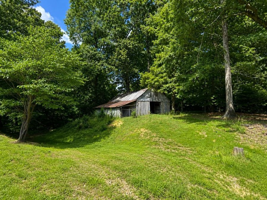 Property Image 39