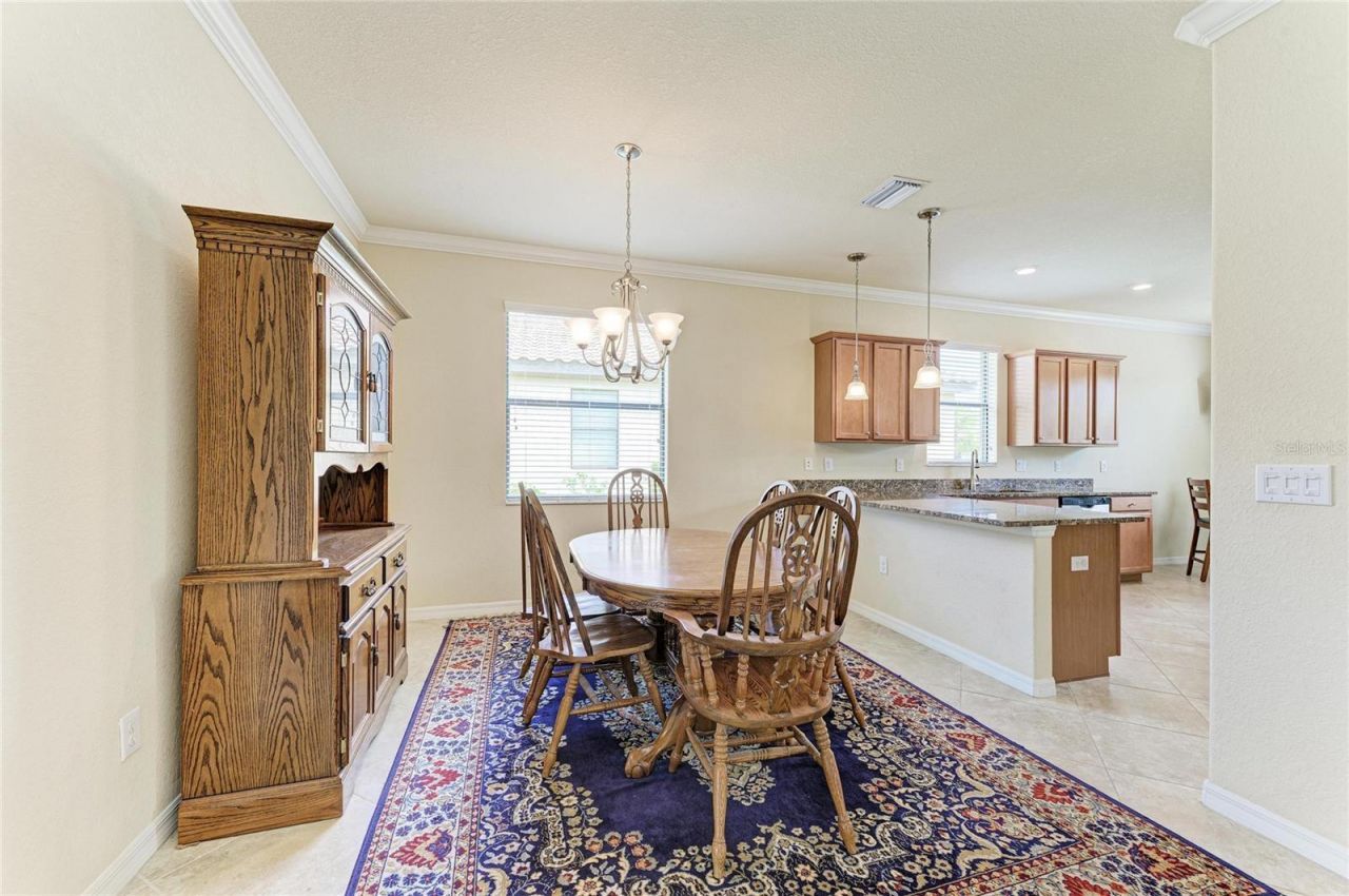 165 Wandering Wetlands Circle, Bradenton, FL 34212 Photo