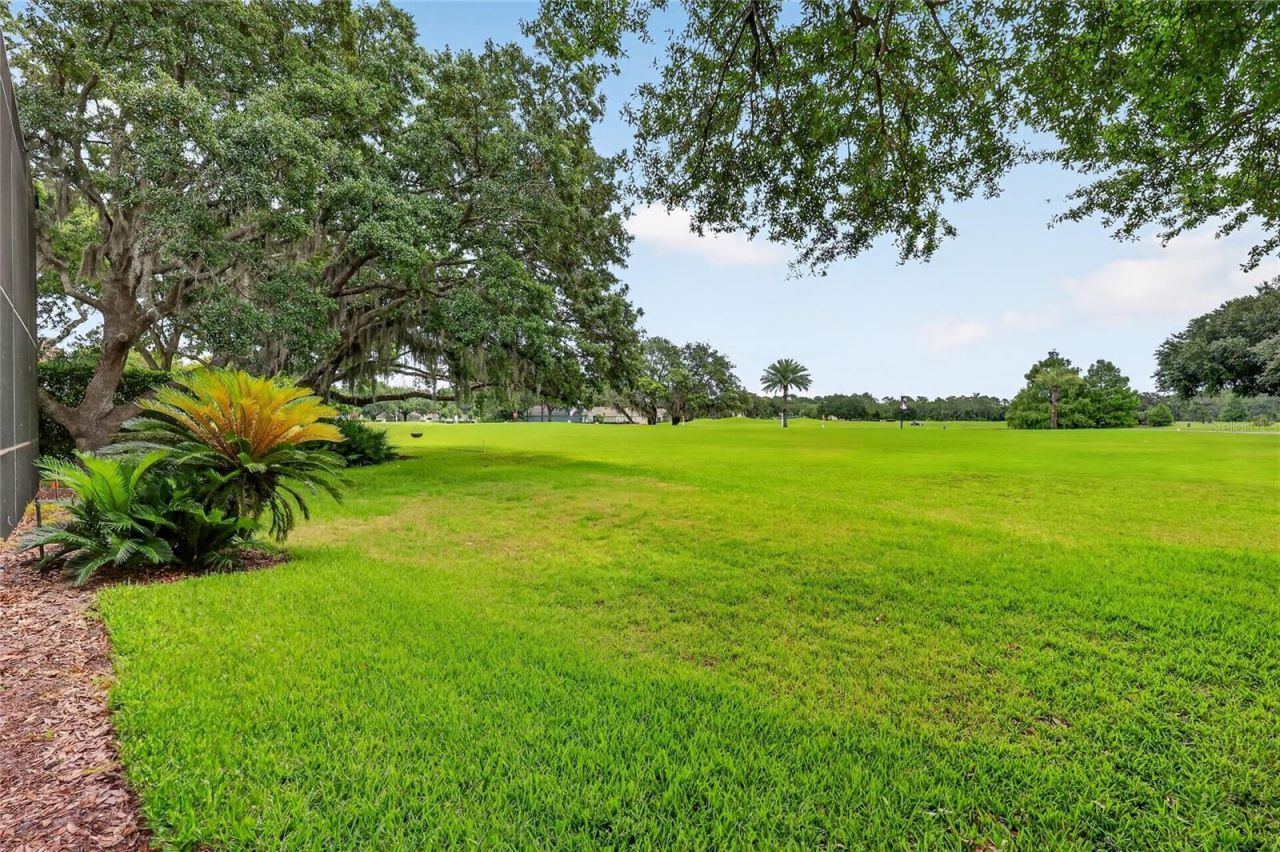 1920 Edgewater Drive , Mount Dora, FL 32757 Photo