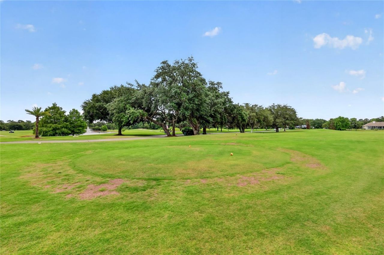 1920 Edgewater Drive , Mount Dora, FL 32757 Photo
