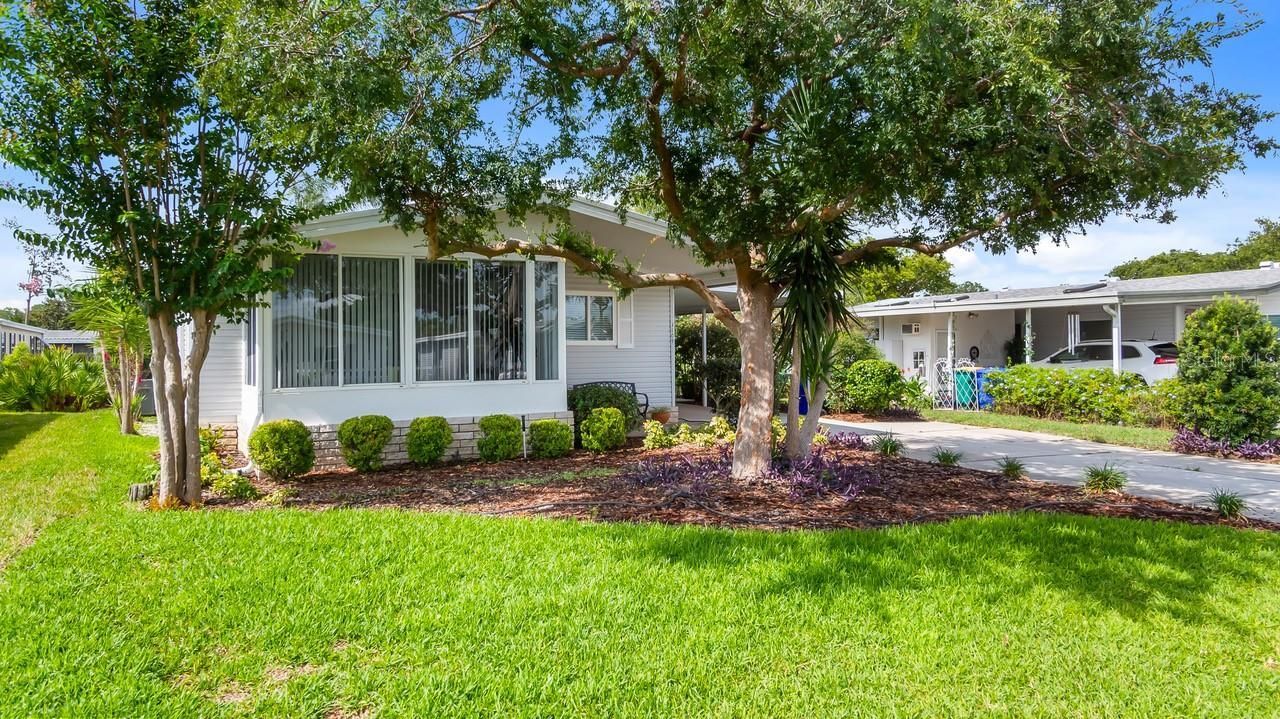 3109 Manatee Road , Tavares, FL 32778 Photo