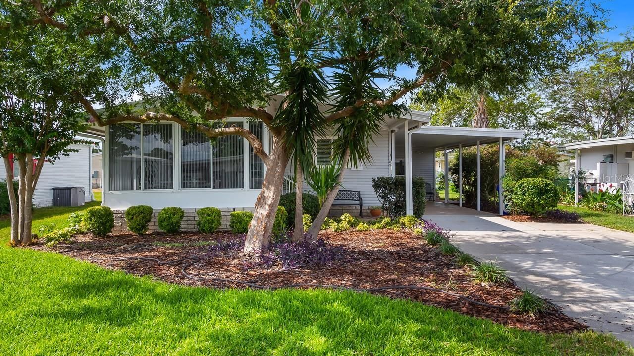 3109 Manatee Road , Tavares, FL 32778 Photo