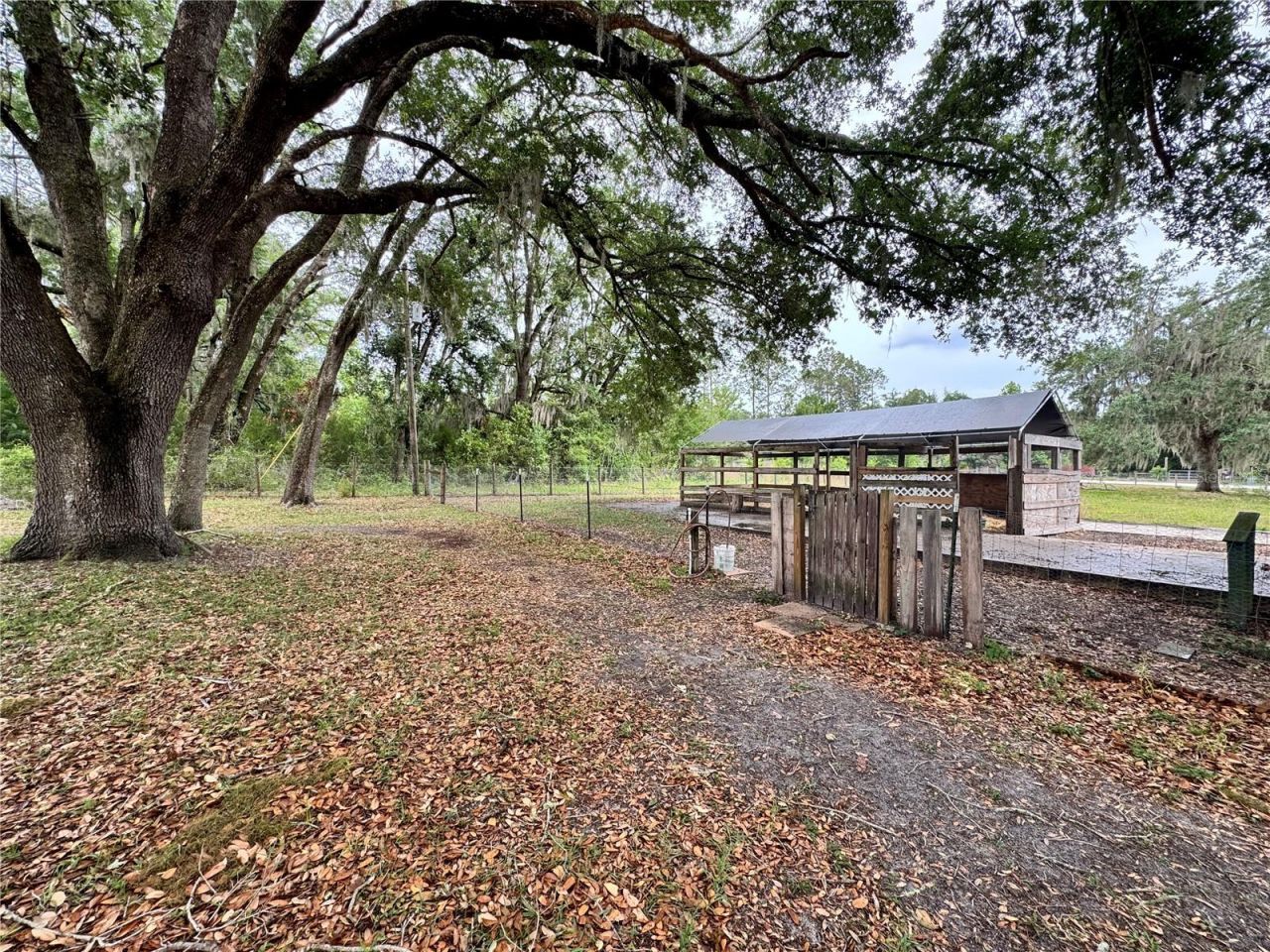 16051 NE 71st Street , Williston, FL 32696 Photo