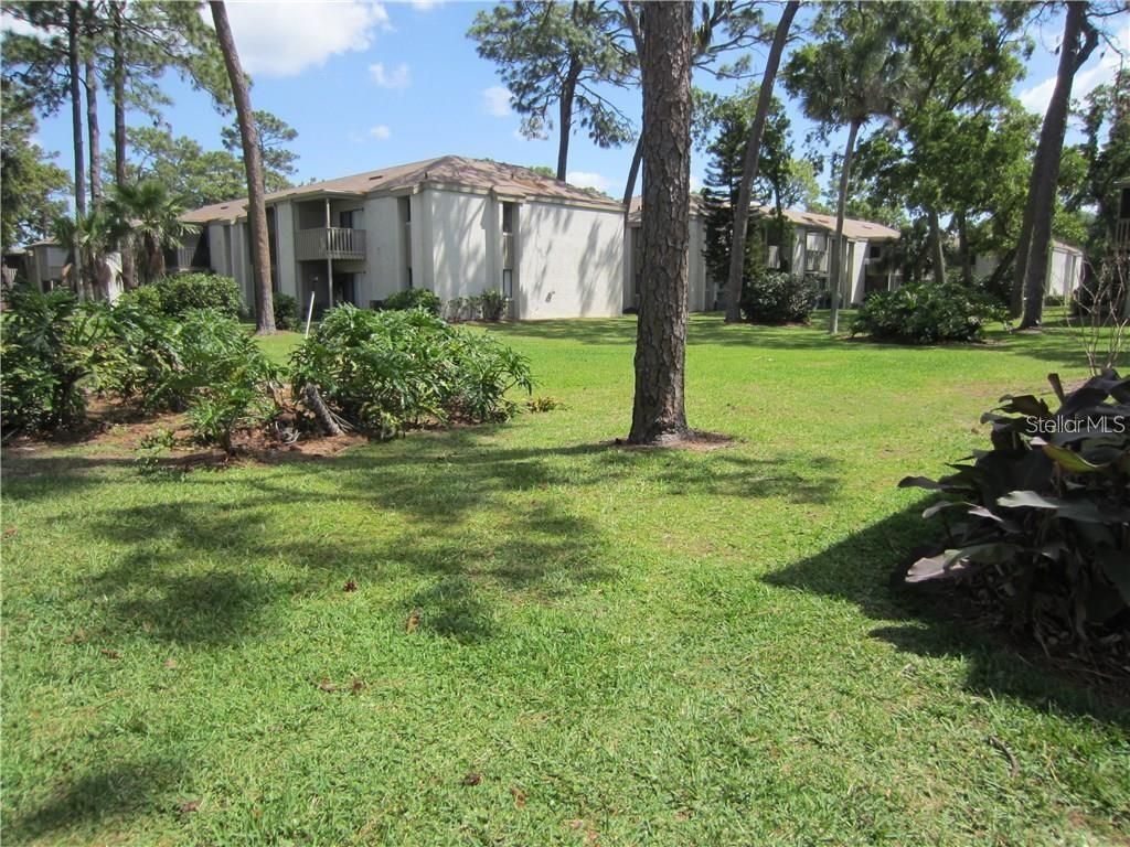 173 Springwood Cir, Unit D, Longwood, FL 32750 Photo
