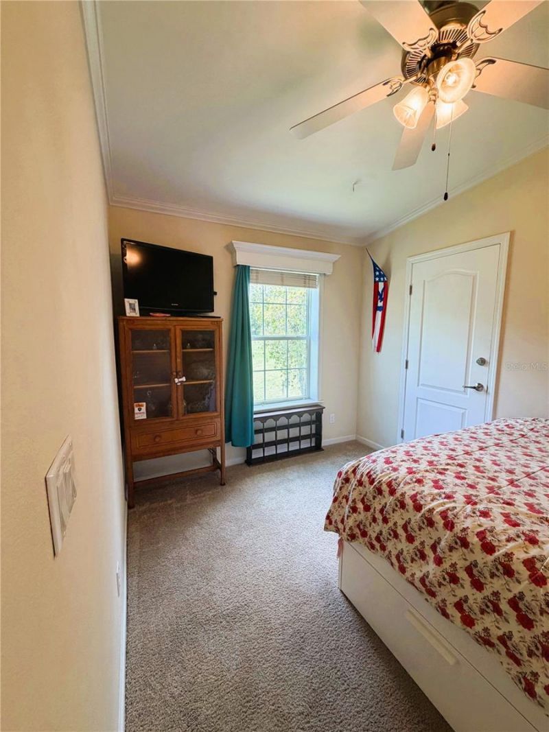 165 Sago Palm Drive , Leesburg, FL 34748 Photo