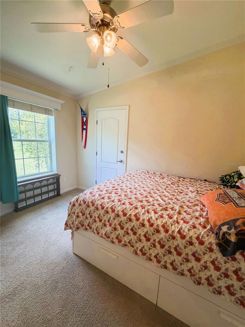 165 Sago Palm Drive , Leesburg, FL 34748 Photo