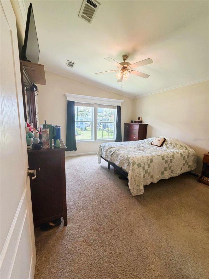 165 Sago Palm Drive , Leesburg, FL 34748 Photo