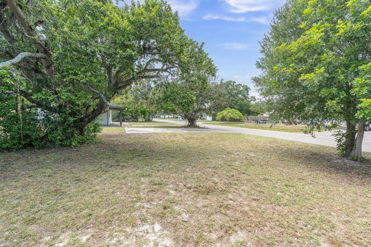 450 Davison Avenue Ne, Saint Petersburg, FL 33703 Photo
