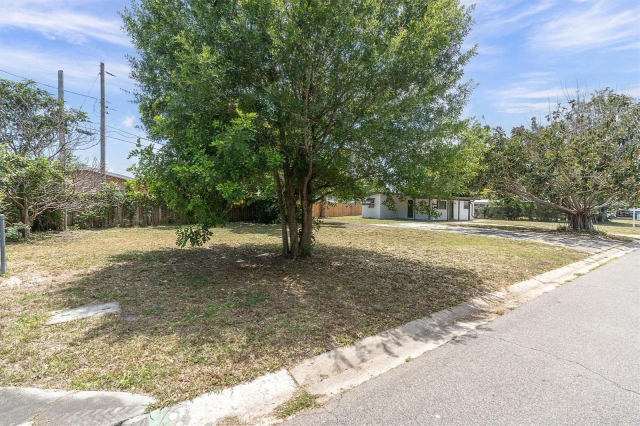 450 Davison Avenue Ne, Saint Petersburg, FL 33703 Photo
