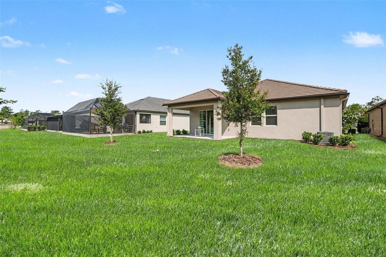 10514 Banyan Breeze Boulevard , Land O Lakes, FL 34638 Photo