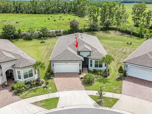 18466 COASTAL SHORE TERRACE , LAND O LAKES, FL 34638