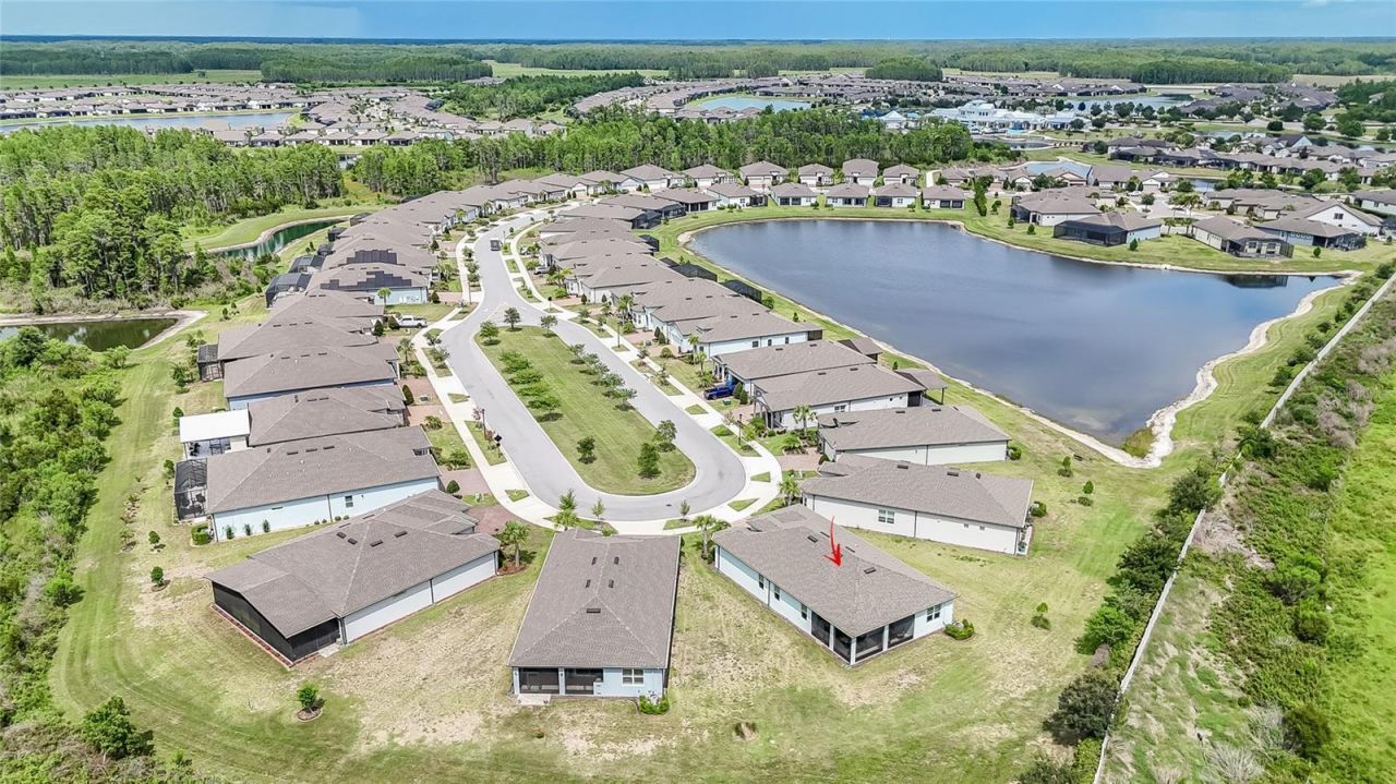 18466 Coastal Shore Terrace , Land O Lakes, FL 34638 Photo