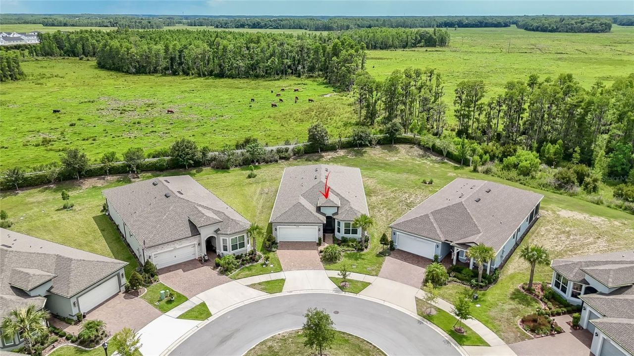 18466 Coastal Shore Terrace , Land O Lakes, FL 34638 Photo