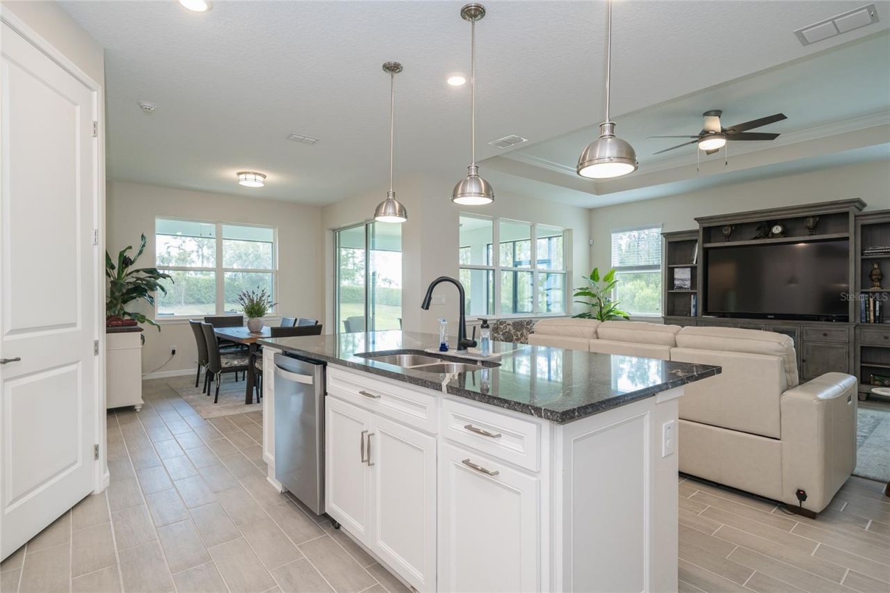 18466 Coastal Shore Terrace , Land O Lakes, FL 34638 Photo
