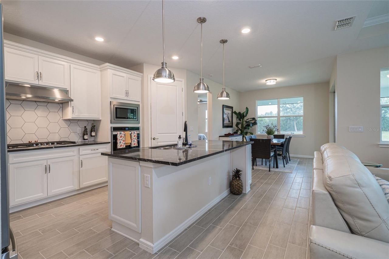 18466 Coastal Shore Terrace , Land O Lakes, FL 34638 Photo