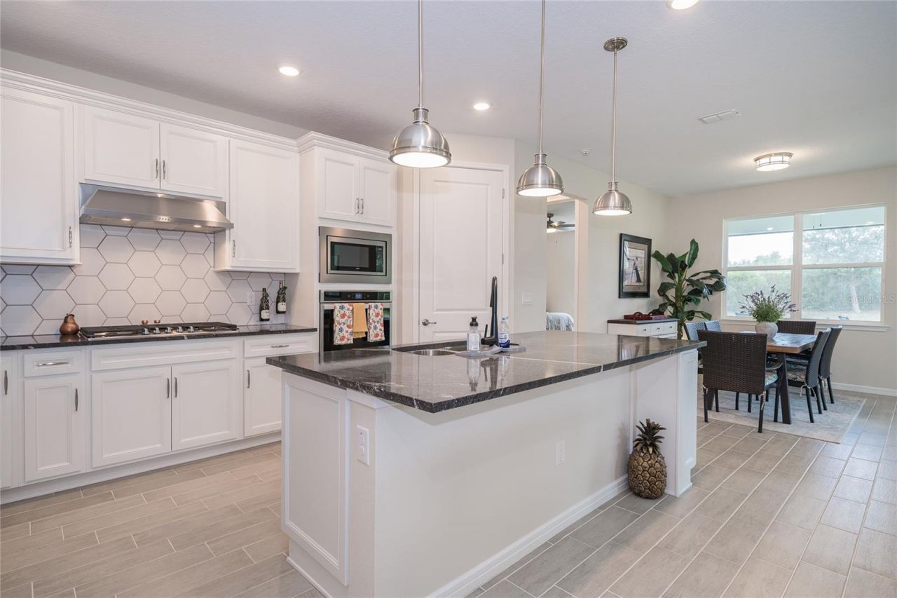 18466 Coastal Shore Terrace , Land O Lakes, FL 34638 Photo