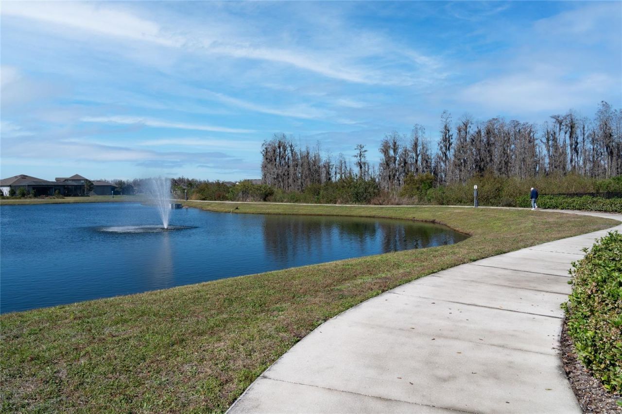 18466 Coastal Shore Terrace , Land O Lakes, FL 34638 Photo