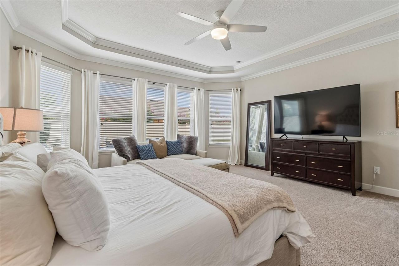 8908 Bella Vita Circle , Land O Lakes, FL 34637 Photo