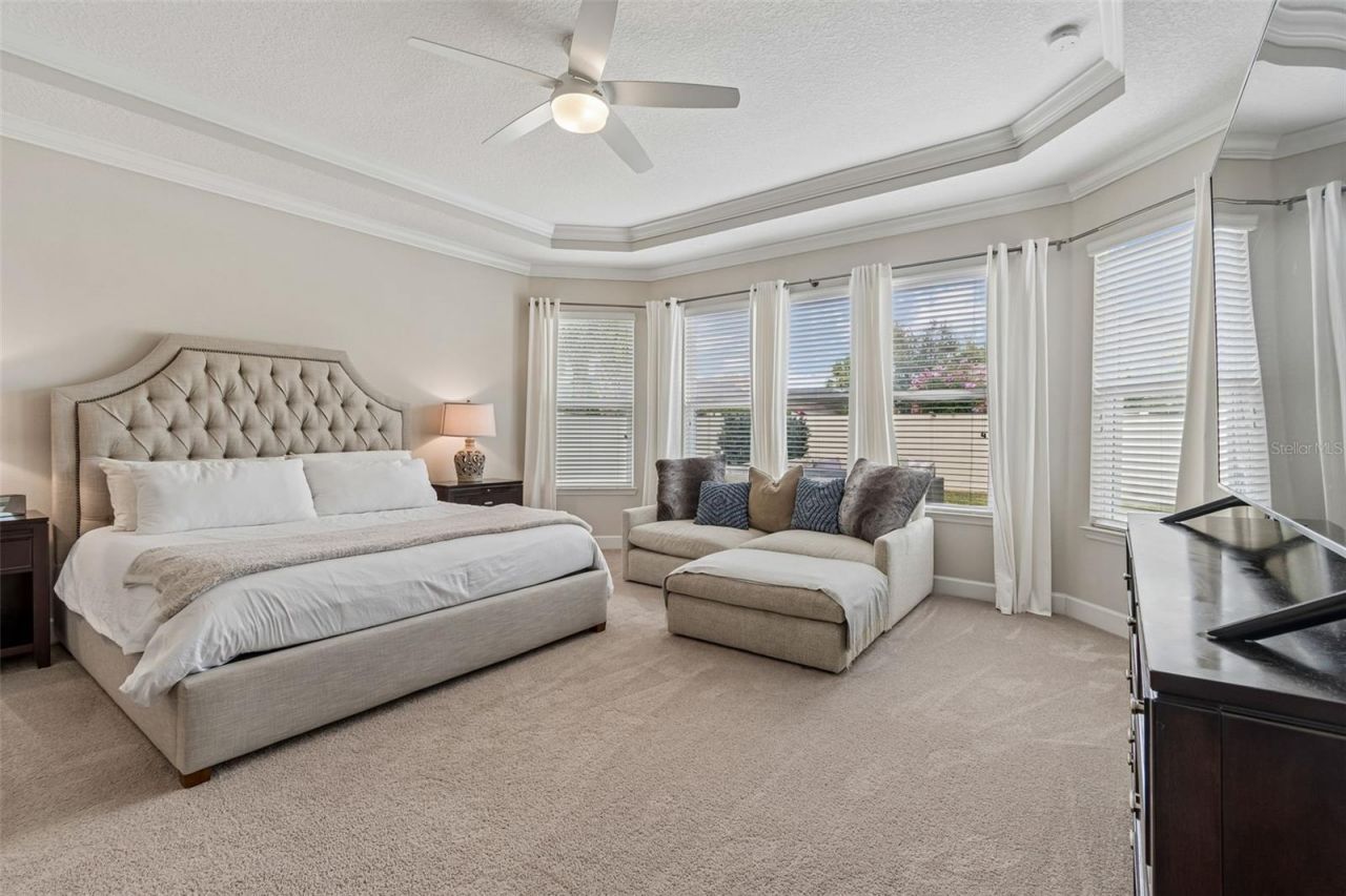 8908 Bella Vita Circle , Land O Lakes, FL 34637 Photo