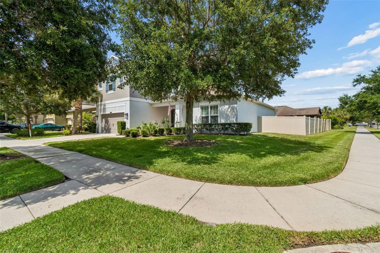 8908 Bella Vita Circle , Land O Lakes, FL 34637 Photo