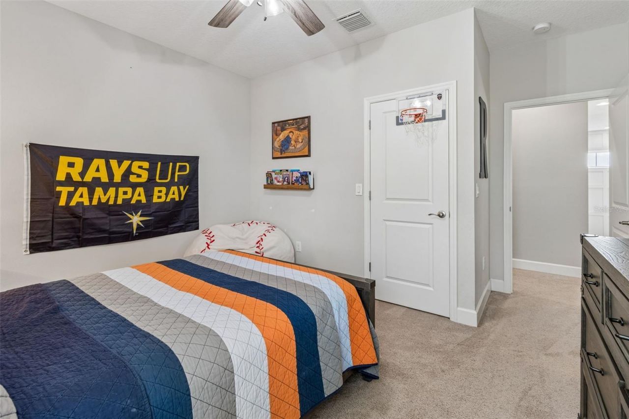 8908 Bella Vita Circle , Land O Lakes, FL 34637 Photo