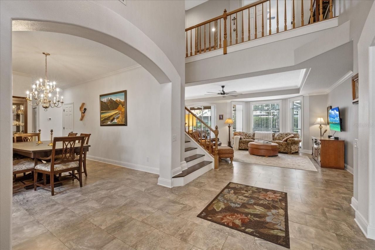 4151 La Salle Drive, Palm Harbor, FL 34685 Photo