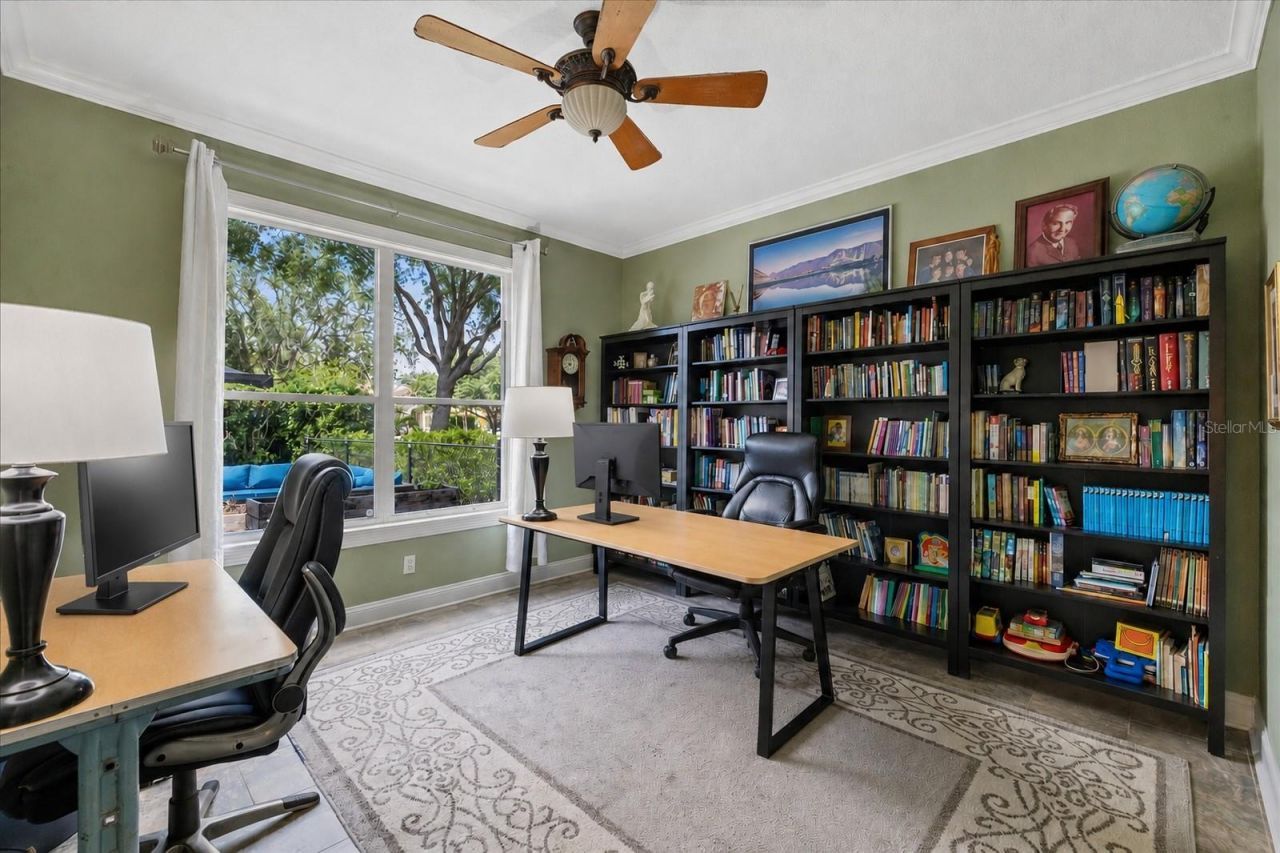 4151 La Salle Drive, Palm Harbor, FL 34685 Photo