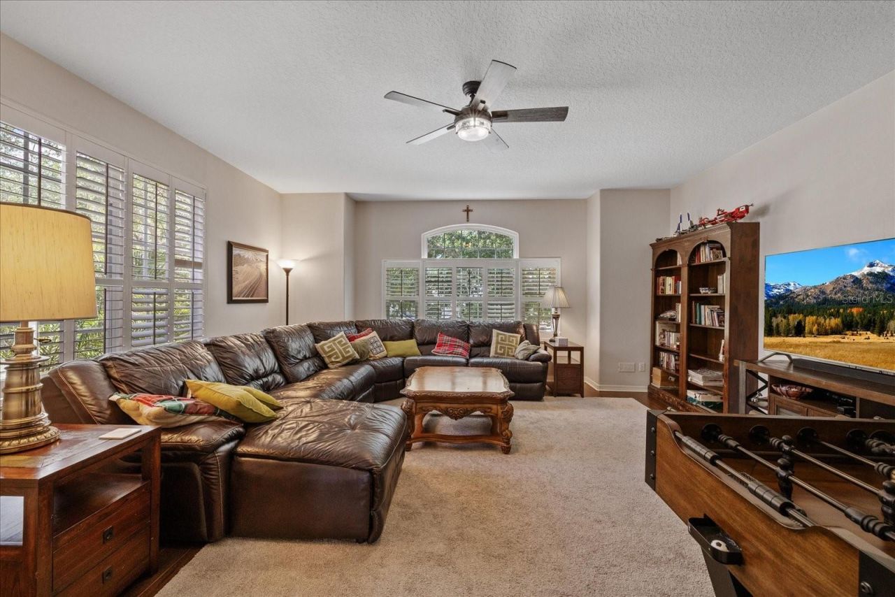4151 La Salle Drive, Palm Harbor, FL 34685 Photo