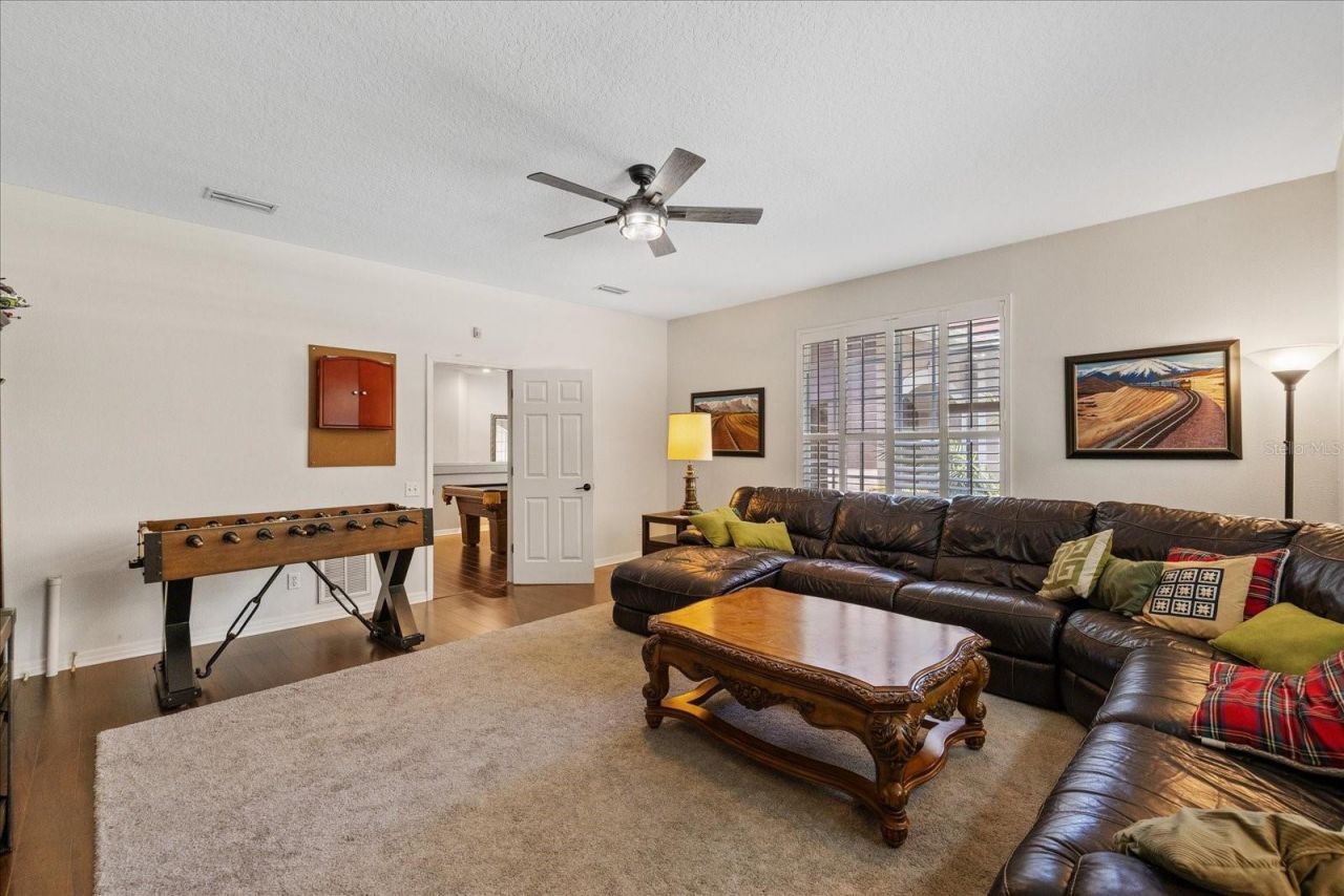 4151 La Salle Drive, Palm Harbor, FL 34685 Photo