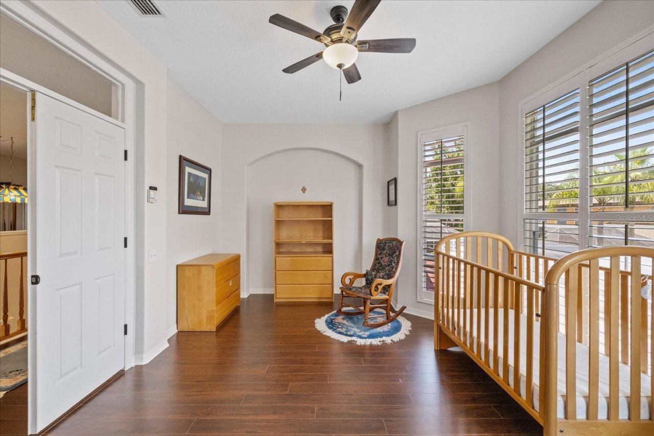 4151 La Salle Drive, Palm Harbor, FL 34685 Photo