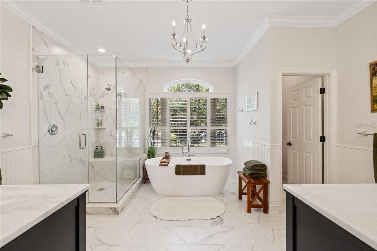 4151 La Salle Drive, Palm Harbor, FL 34685 Photo