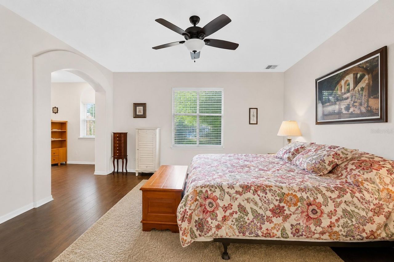 4151 La Salle Drive, Palm Harbor, FL 34685 Photo