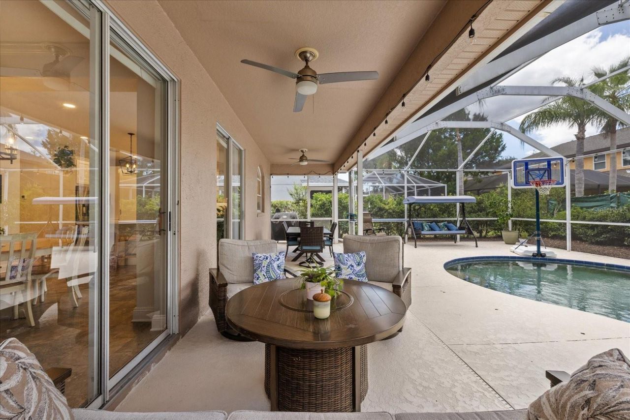 4151 La Salle Drive, Palm Harbor, FL 34685 Photo