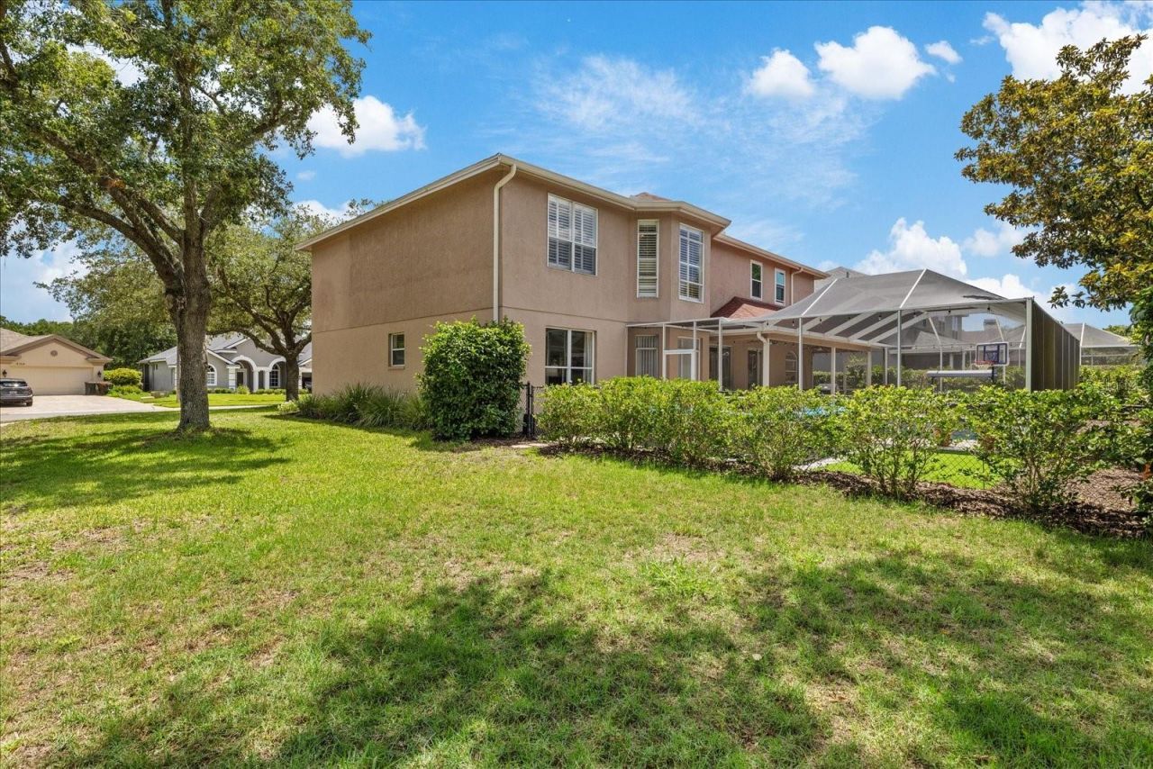 4151 La Salle Drive, Palm Harbor, FL 34685 Photo