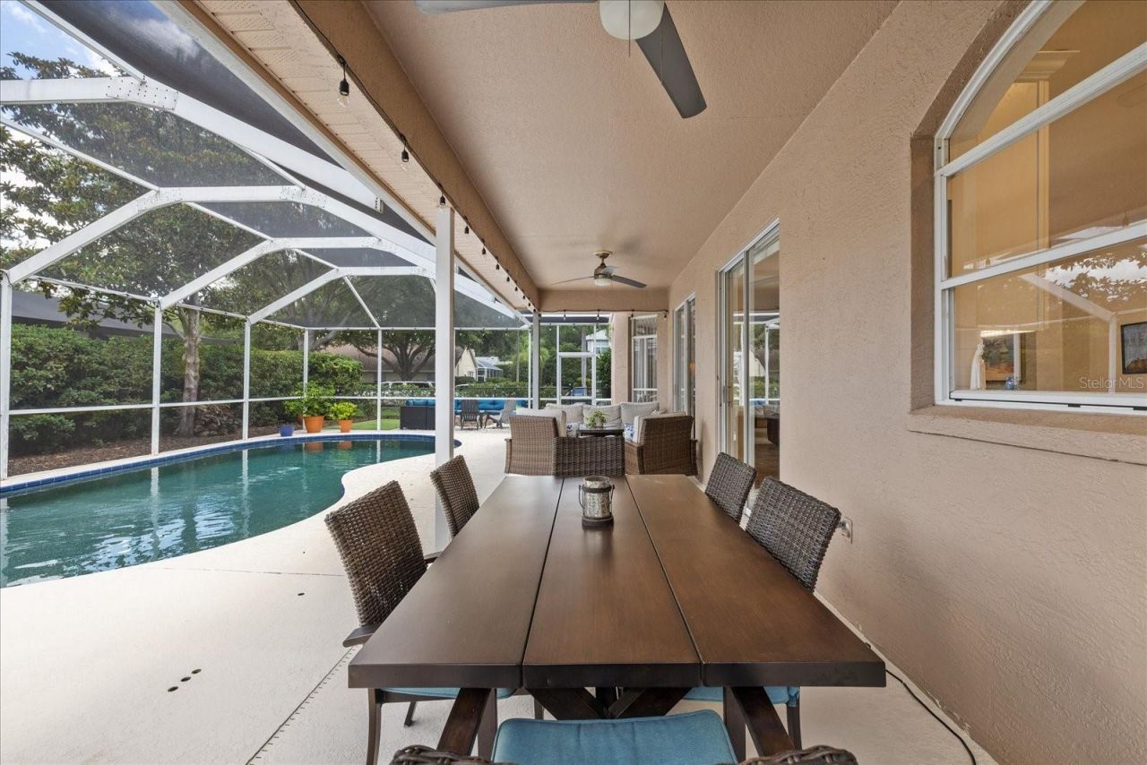 4151 La Salle Drive, Palm Harbor, FL 34685 Photo