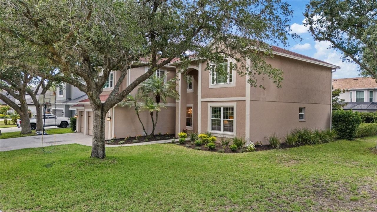 4151 La Salle Drive, Palm Harbor, FL 34685 Photo