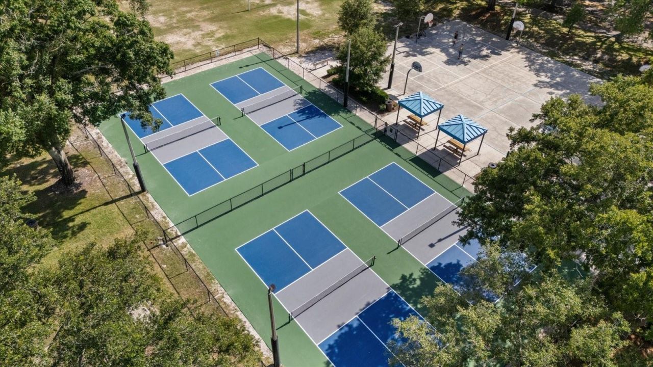 4151 La Salle Drive, Palm Harbor, FL 34685 Photo