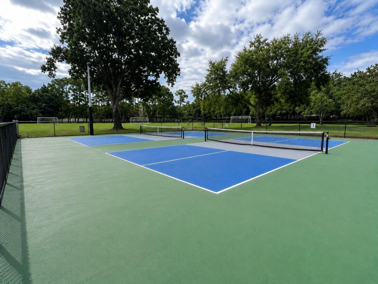4151 La Salle Drive, Palm Harbor, FL 34685 Photo