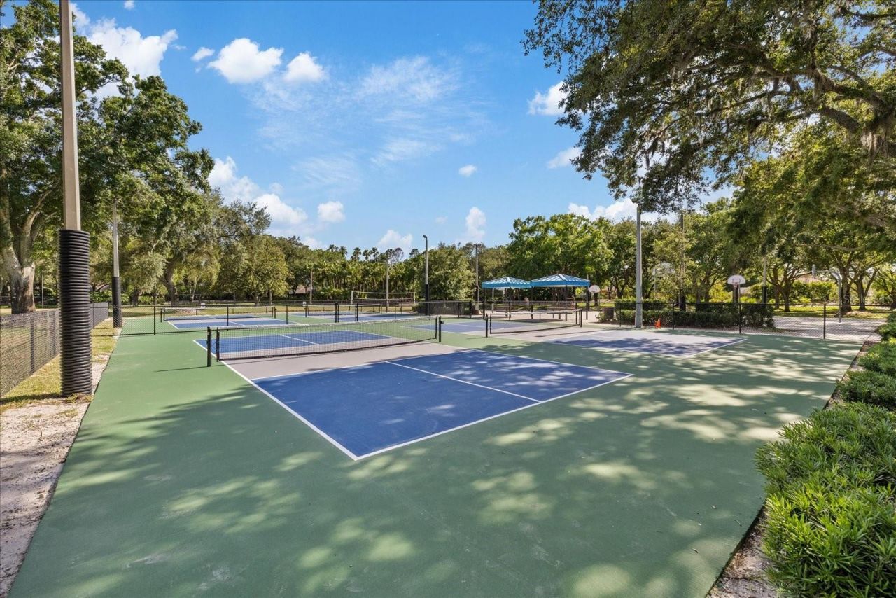 4151 La Salle Drive, Palm Harbor, FL 34685 Photo